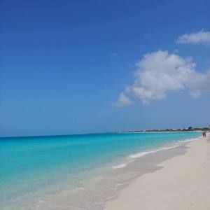 Meet your Posher, Johanne